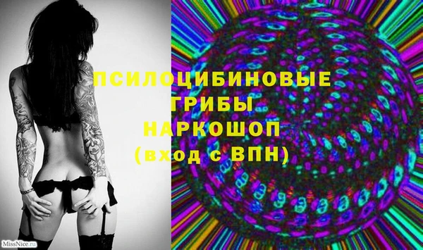 дживик Белокуриха