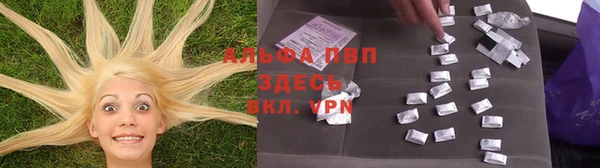 дживик Белокуриха