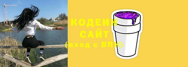 дживик Белокуриха