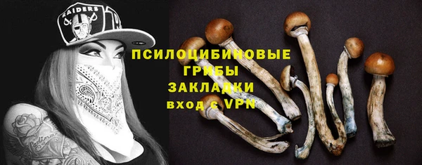 Альфа ПВП Богданович